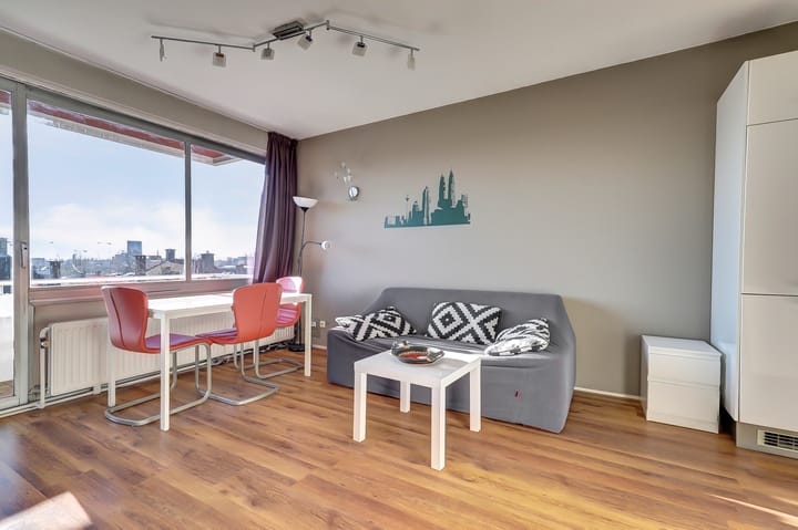 Foto 14 van Ir J.P. van Muijlwijkstraat 206