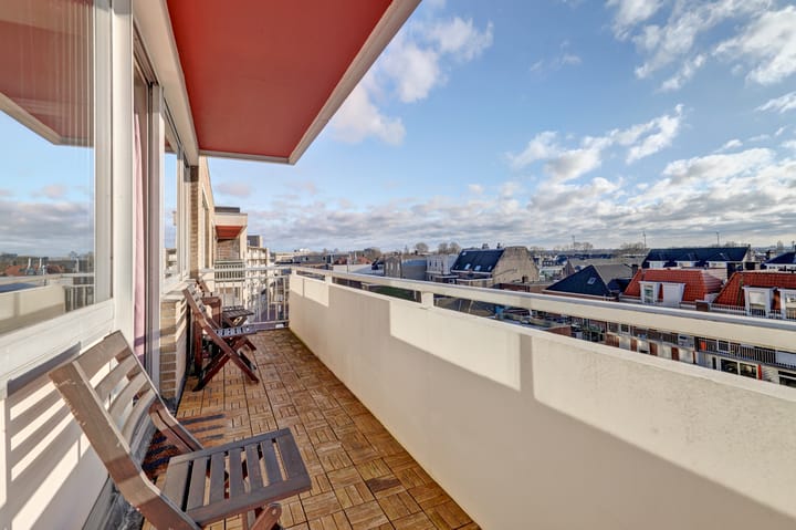 Foto 19 van Ir J.P. van Muijlwijkstraat 206