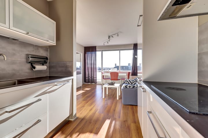 Foto 21 van Ir J.P. van Muijlwijkstraat 206