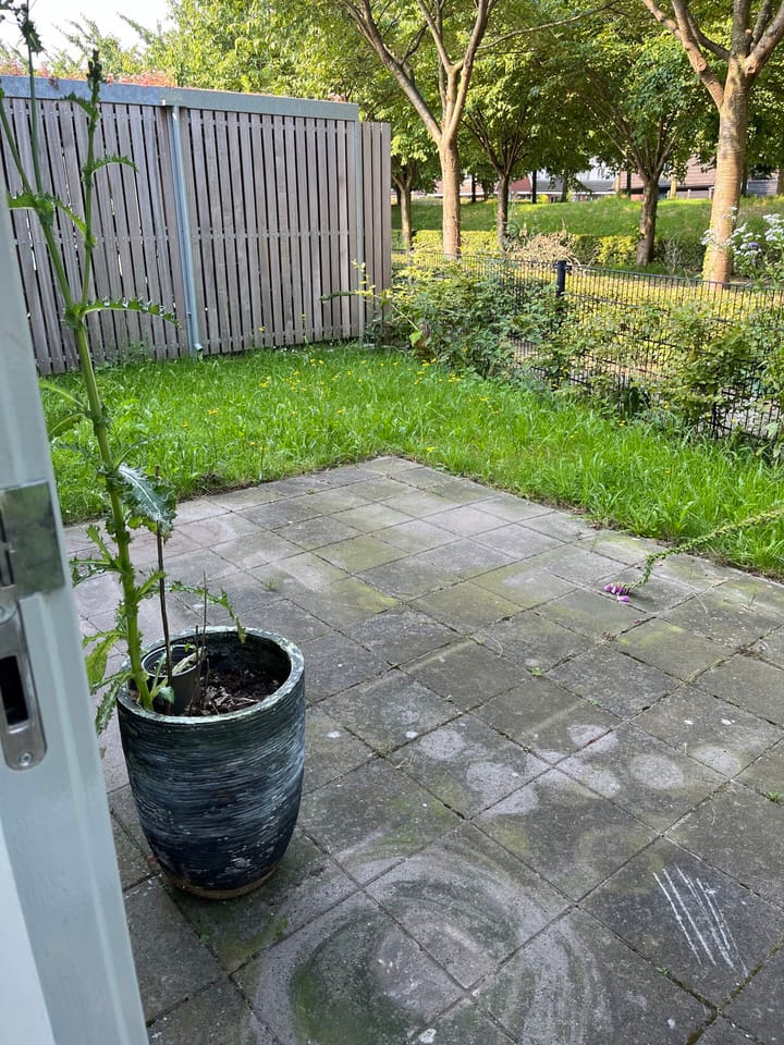 Foto 4 van Beekmos 33