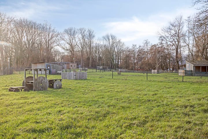 Foto 33 van Niemeyerstraat 26