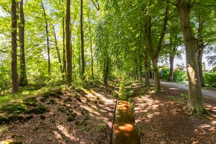 Foto 50 van Waalstraat 58