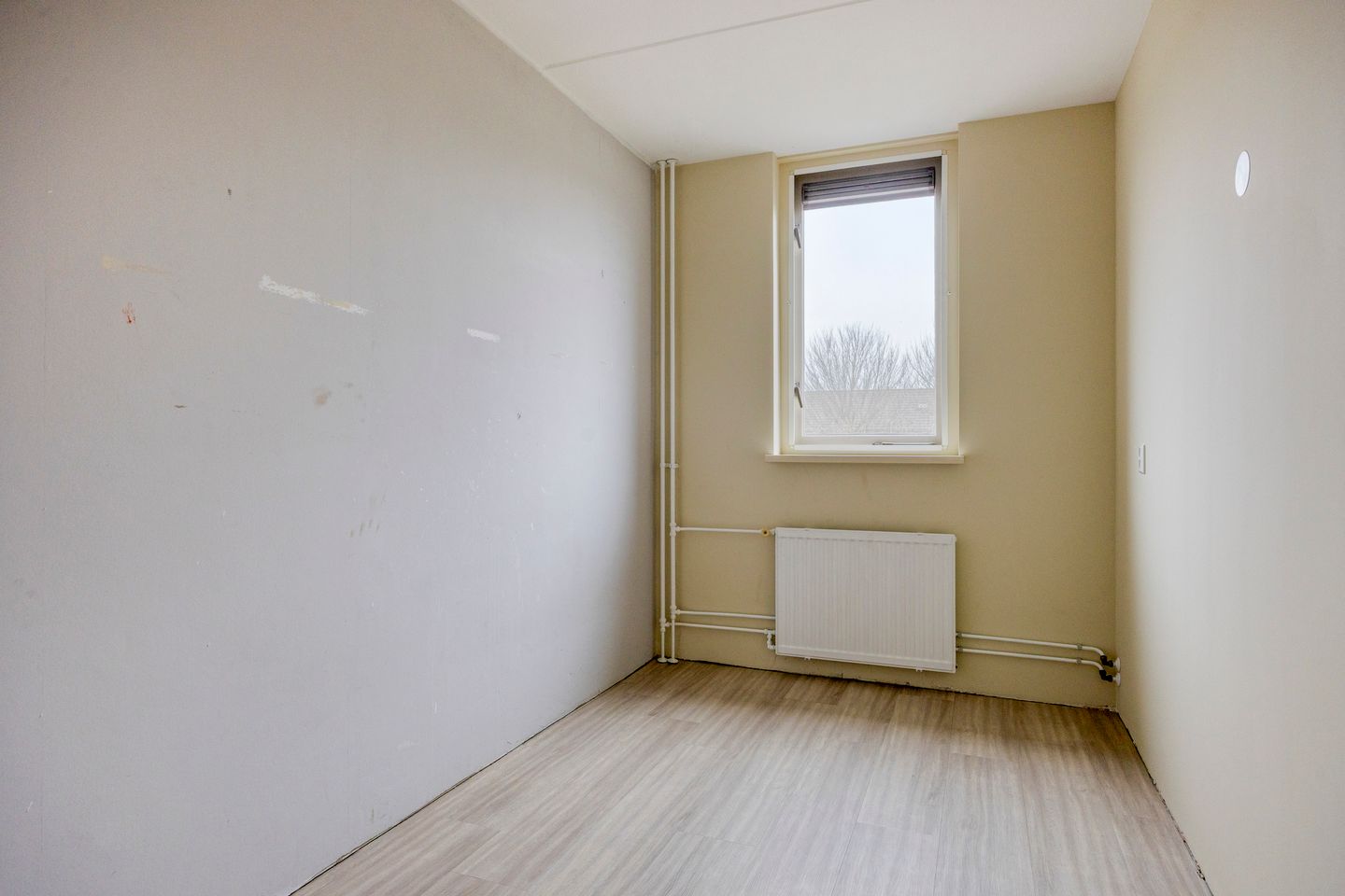 Foto 20 van Straat Davis 12