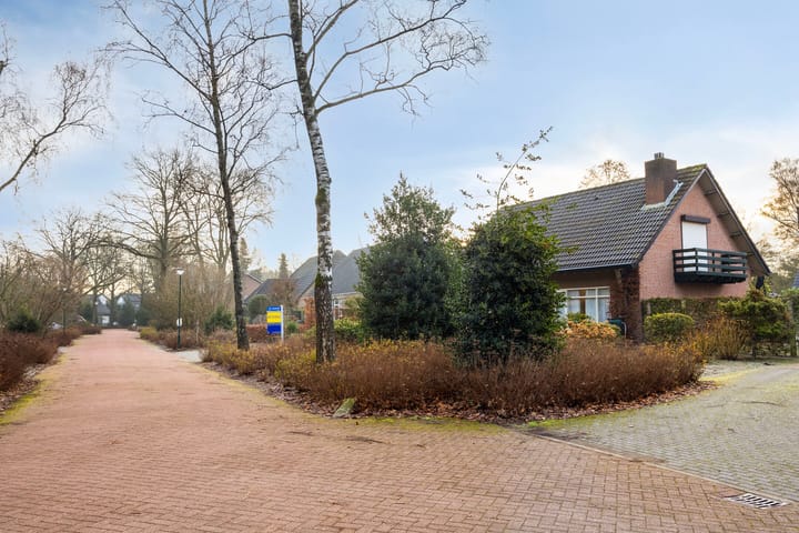 Foto 7 van Sleedoorn 14