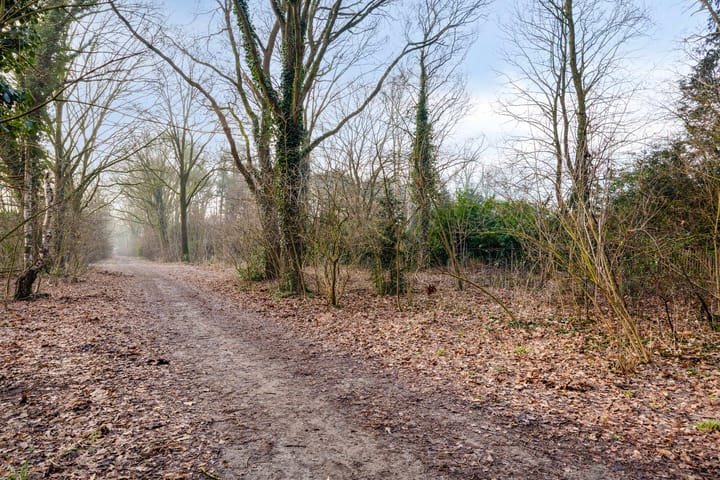 Foto 15 van Sleedoorn 14