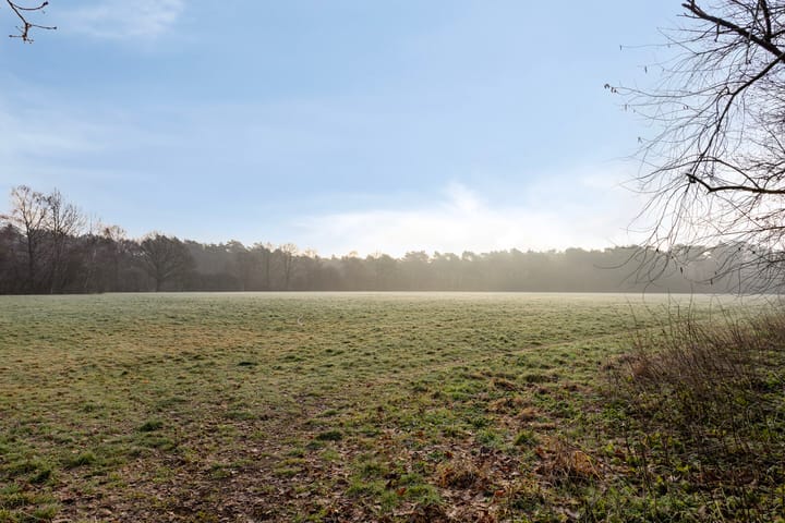 Foto 13 van Sleedoorn 14