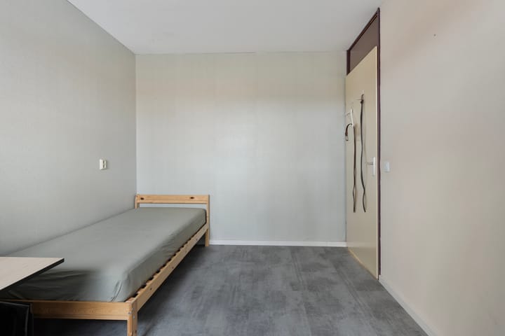 Foto 19 van Zadkinestraat 58