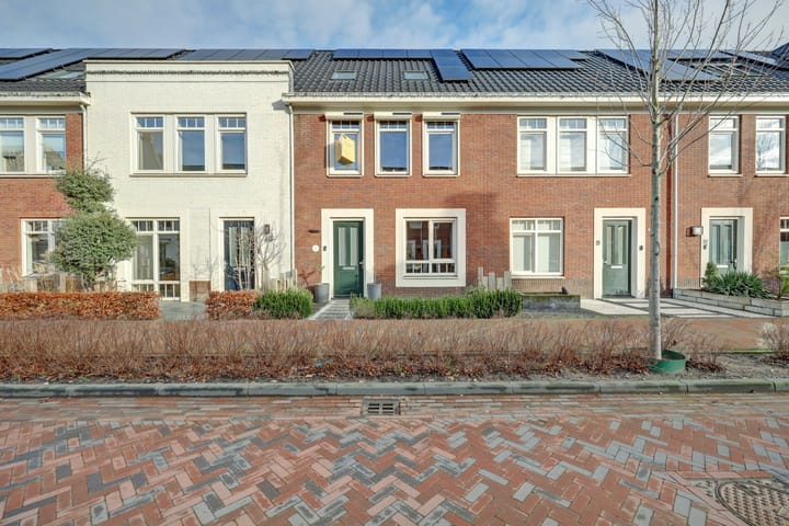 Schoener 7 main image