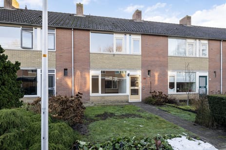 undefined main image