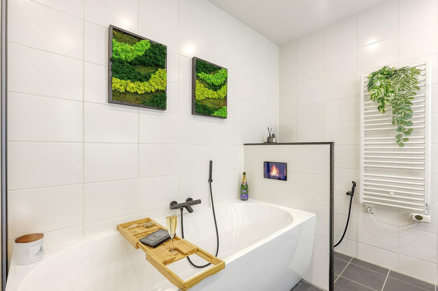 Foto 19 van Ananasweg 8