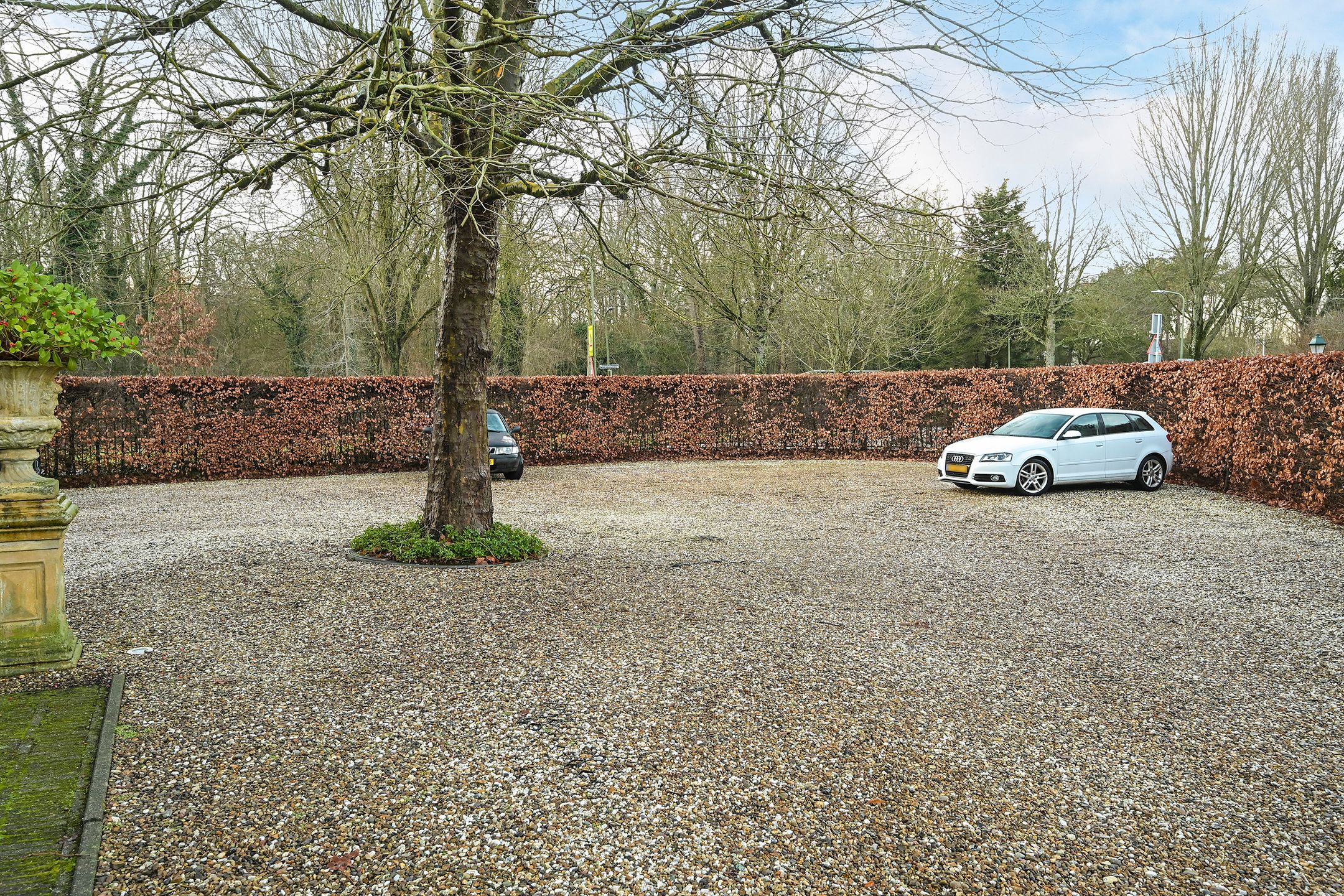 Foto 30 van Tapijtweg 28