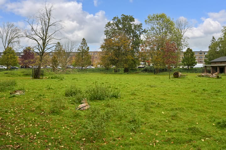 Foto 22 van Soestdijksekade 1052