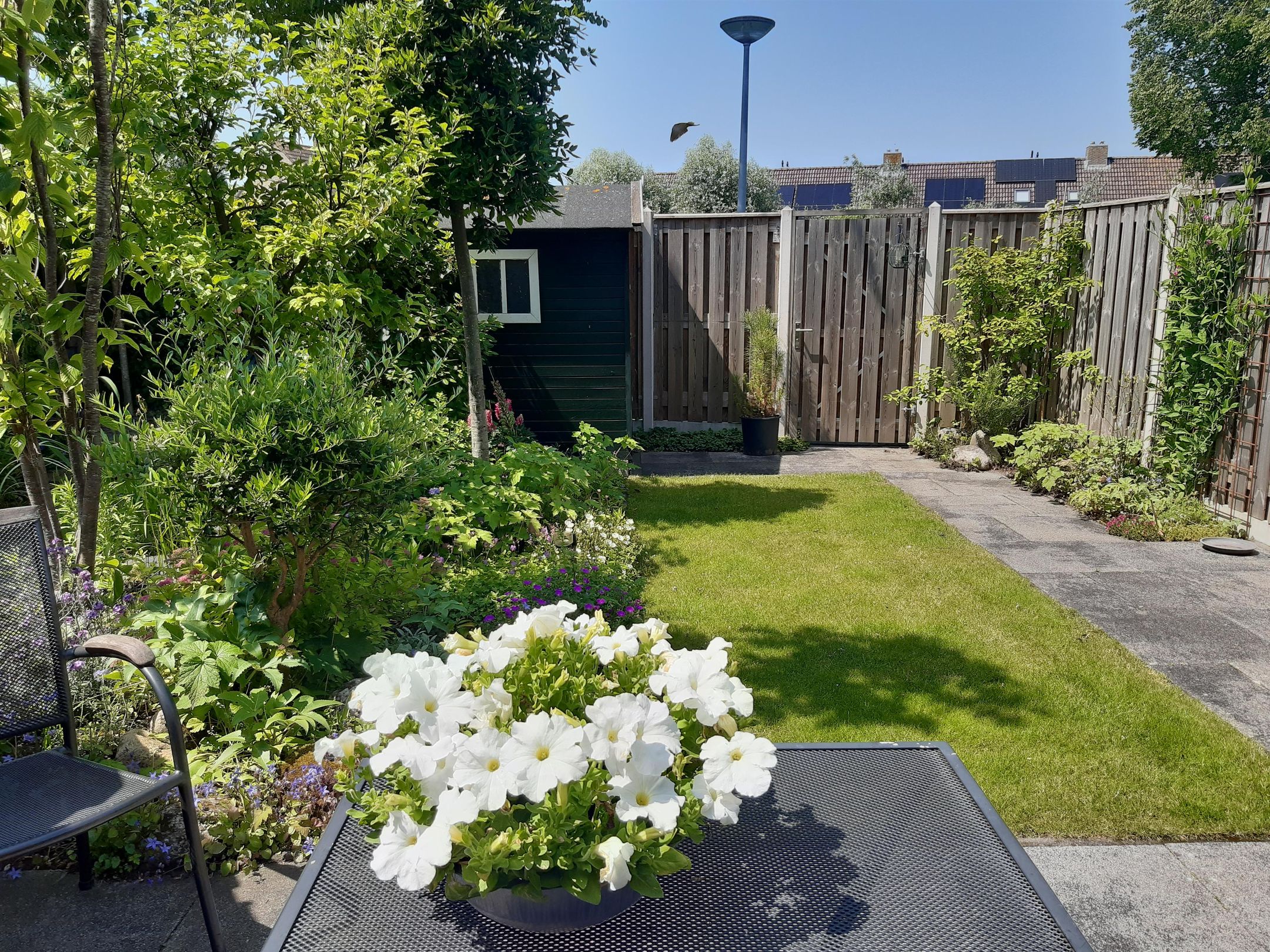 Foto 39 van Karinthiëstraat 56