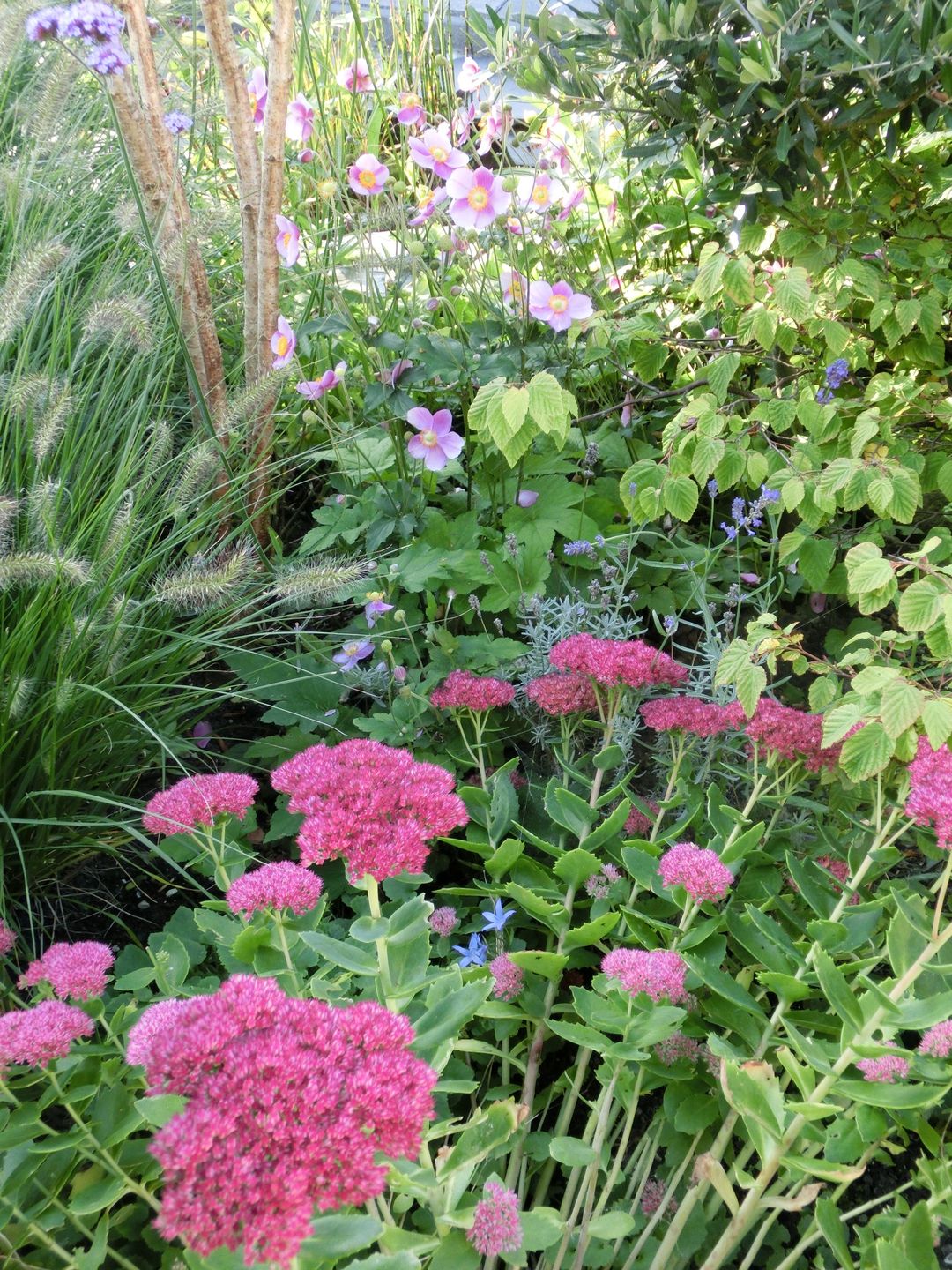 Foto 41 van Karinthiëstraat 56