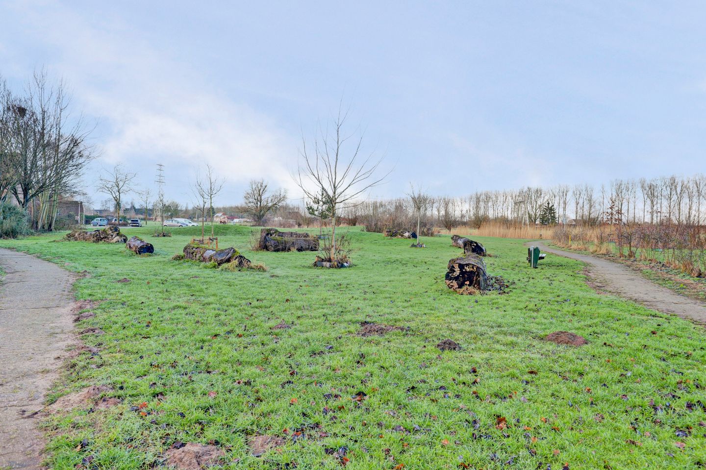 Foto 44 van Tuinlaan 82