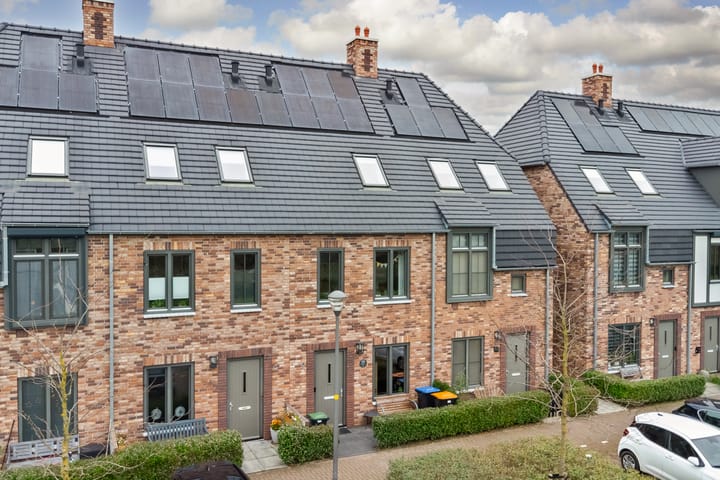 Zonnebaars 55 main image