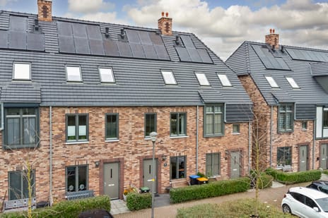 Zonnebaars thumbnail