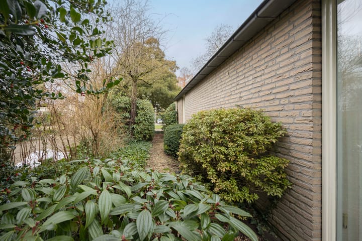 Foto 40 van Lage Driesstraat 21