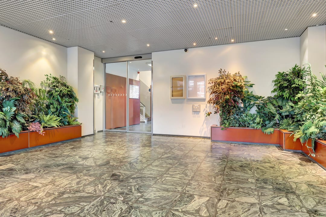 Foto 2 van Laan van Nieuw-Oost-Indië 53