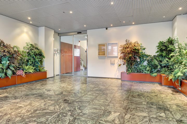 Foto 2 van Laan van Nieuw-Oost-Indië 53