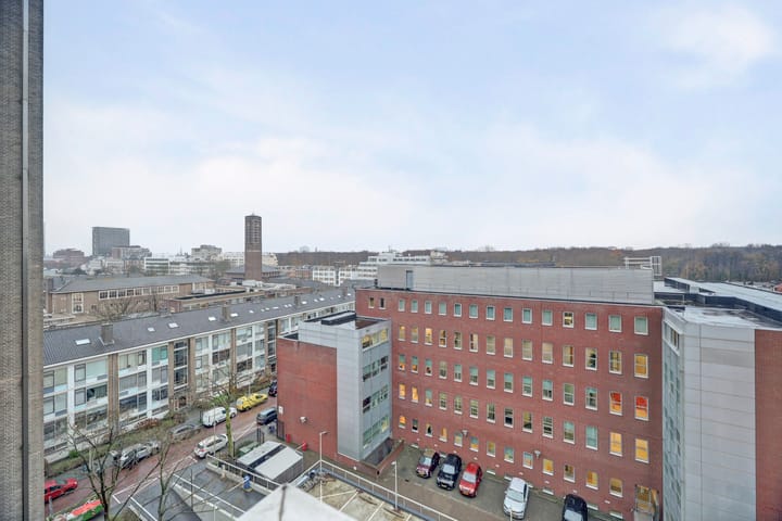 Foto 34 van Laan van Nieuw-Oost-Indië 53