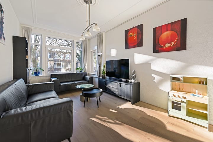 Caan van Necklaan 255 main image