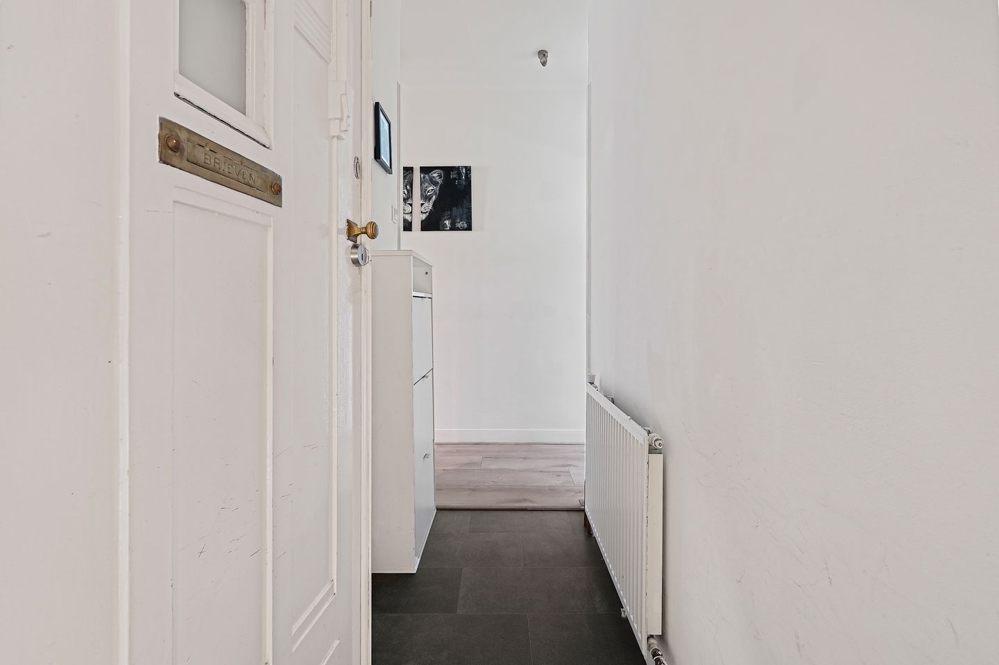 Foto 4 van Caan van Necklaan 255