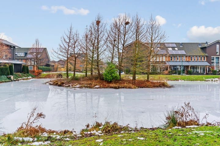 Photo 33 of Rijnpolder 60