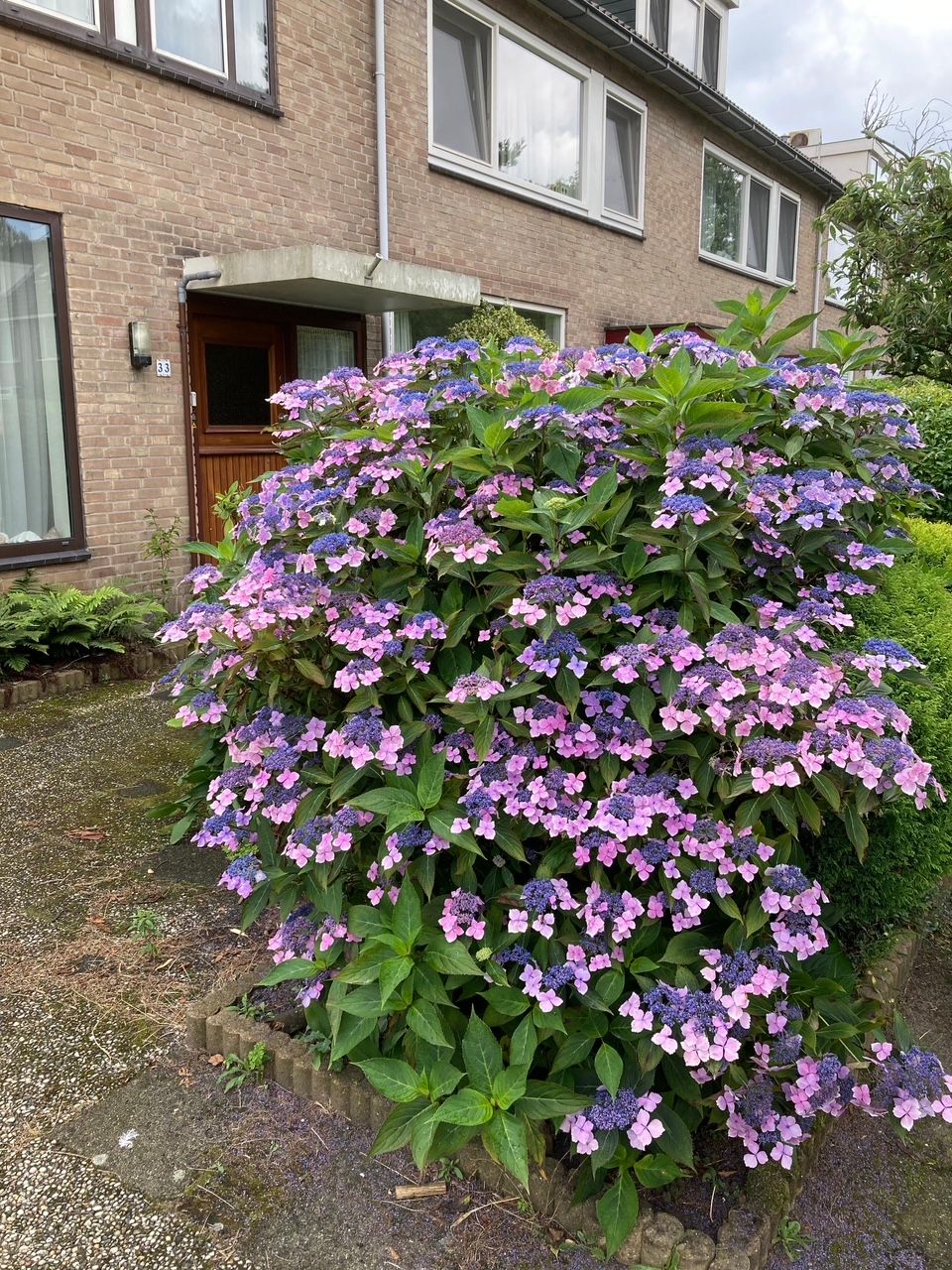 Foto 15 van Graaf Janlaan 33