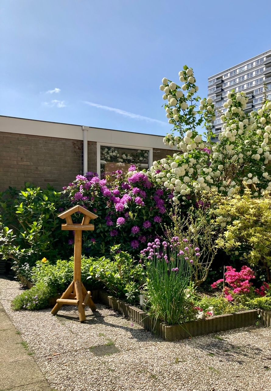 Foto 17 van Graaf Janlaan 33