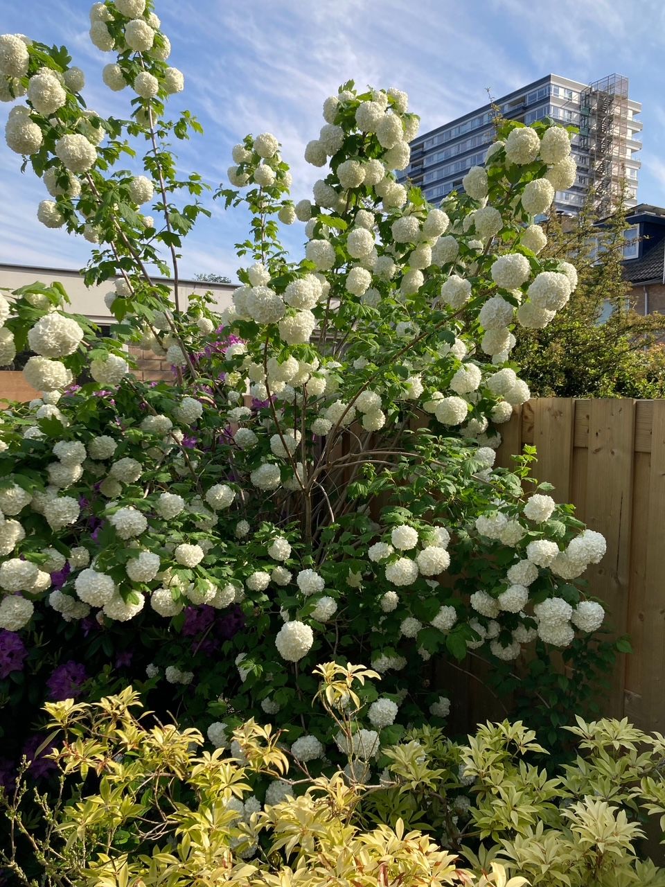 Foto 73 van Graaf Janlaan 33