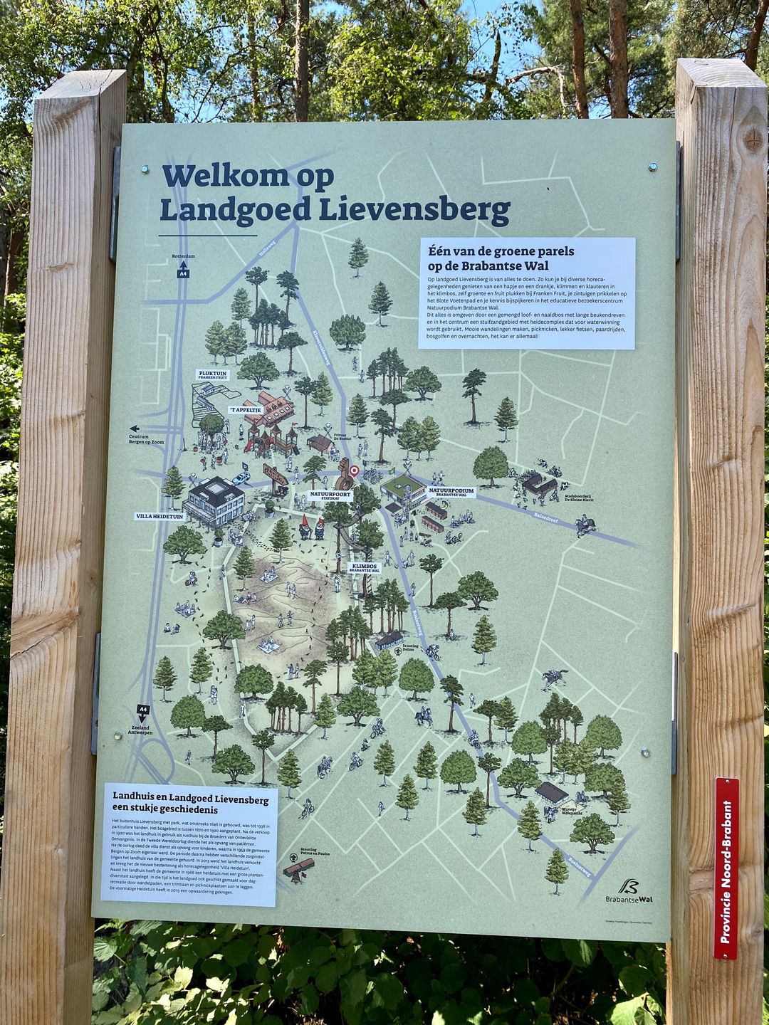 Foto 13 van Van Der Rijtstraat