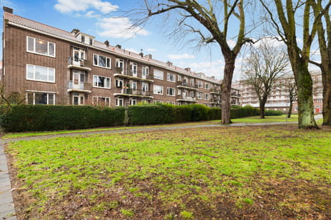 Carel van Nieveltstraat thumbnail