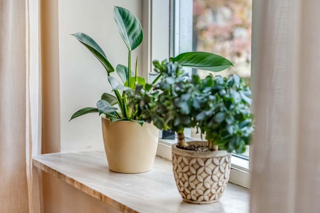 Photo 11 of Woerd 27