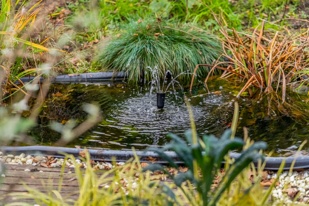 Photo 23 of Woerd 27