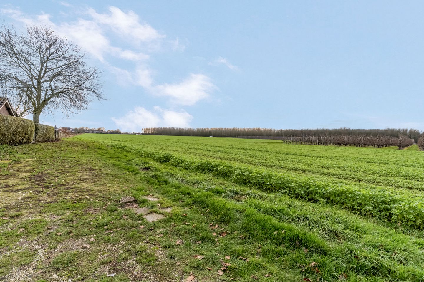 Photo 29 of Woerd 27