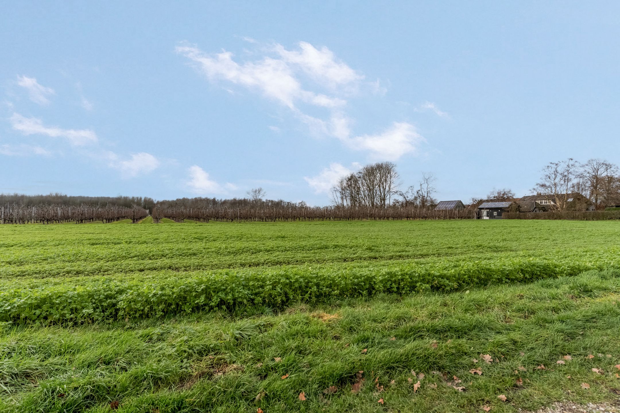 Photo 30 of Woerd 27