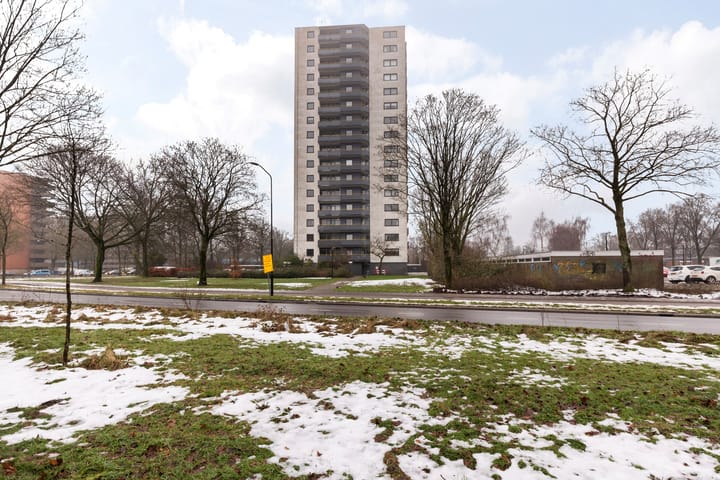 Foto 2 van Kalmoesstraat 227