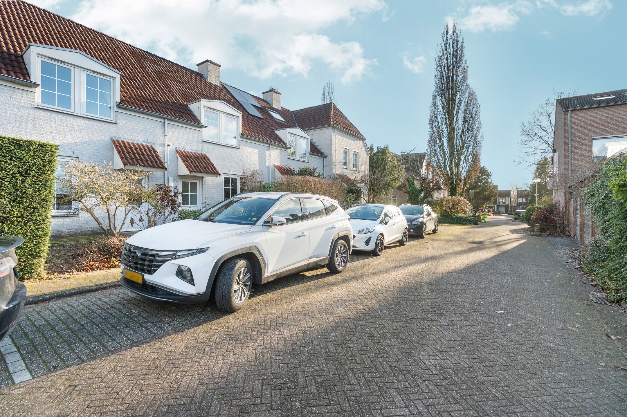 Photo 3 of Iepenhof 27