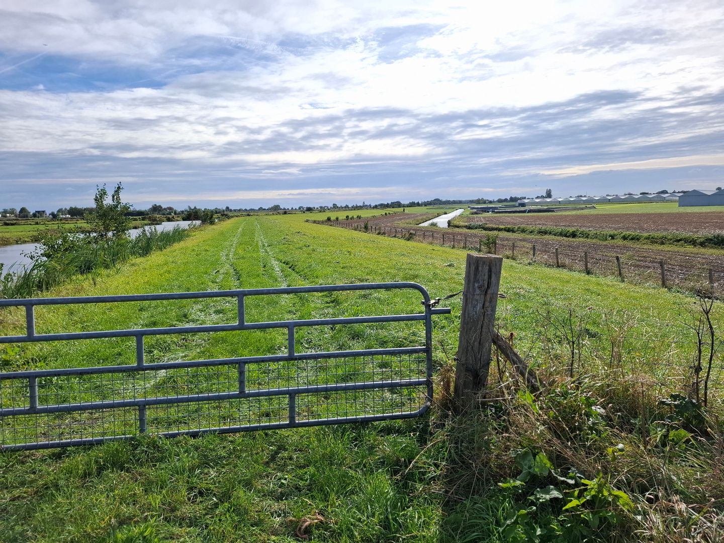 Achterweg - De Kwakel - Afbeelding 7