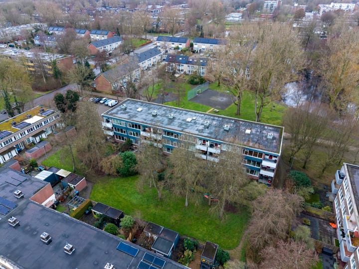 Foto 42 van Dukdalf 126