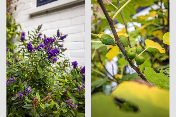 Foto 29 van Berkelstraat 146