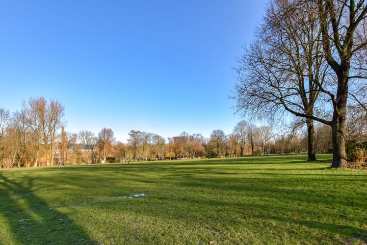 Foto 18 van Vrolikstraat 395-E