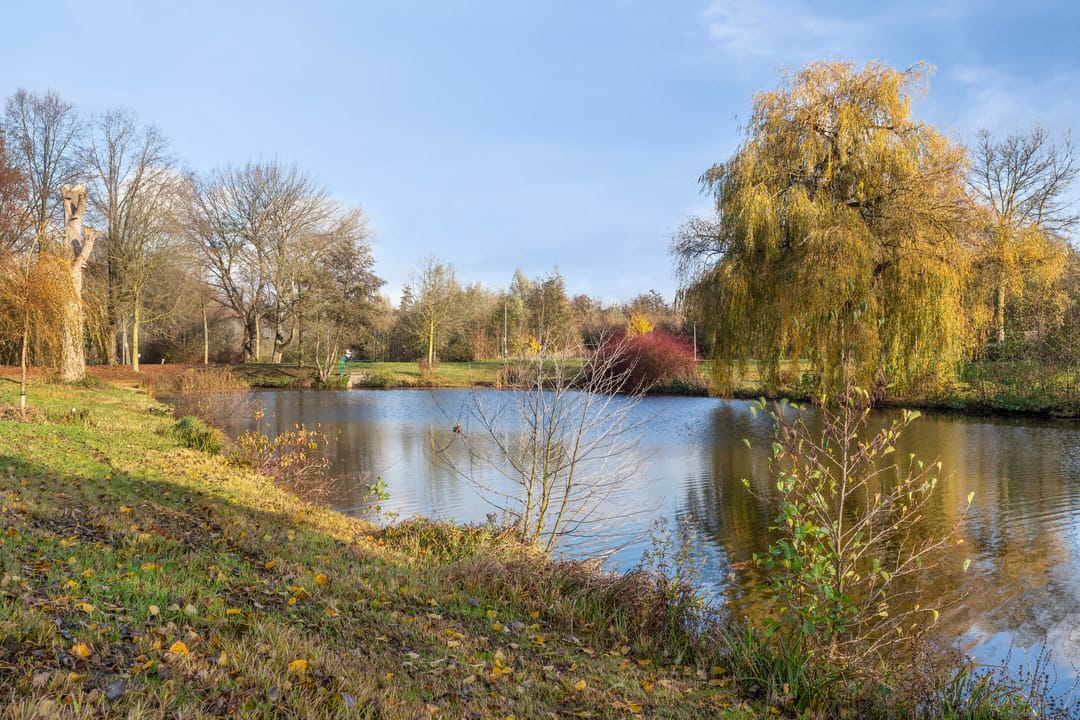 Foto 38 van Weegschaalstraat 24