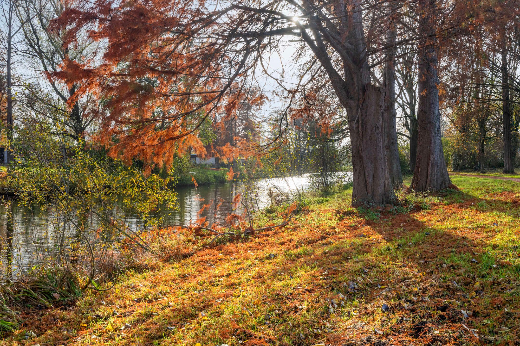 Foto 39 van Weegschaalstraat 24