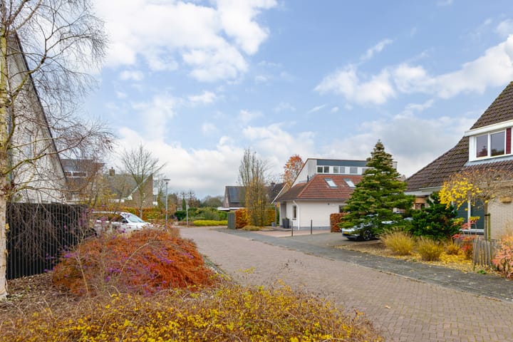 Foto 6 van Rietmaat 4