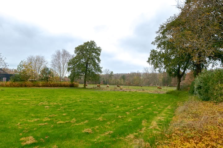 Foto 9 van Rietmaat 4