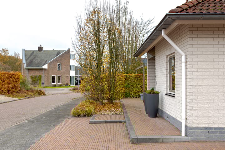 Foto 11 van Rietmaat 4