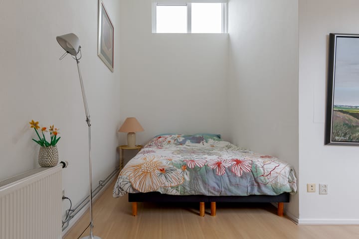 Foto 42 van Rietmaat 4