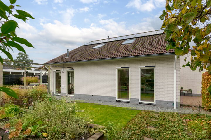 Foto 65 van Rietmaat 4